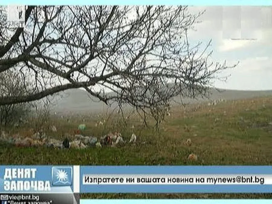 Пращат фотосесия с боклук на Нона Караджова