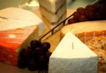 Саркози забрани сиренето в Елисейския дворец