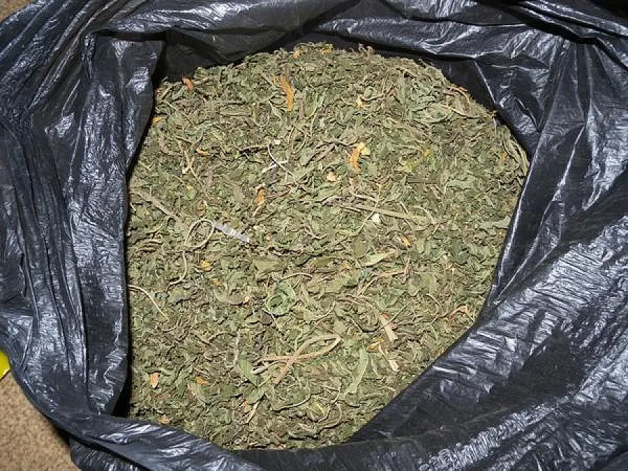 Спипаха петима с килограм и половина марихуана