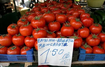 Ядем опасен турски зарзават