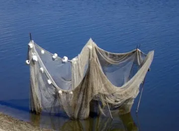 Сгащиха бракониери в нощна акция