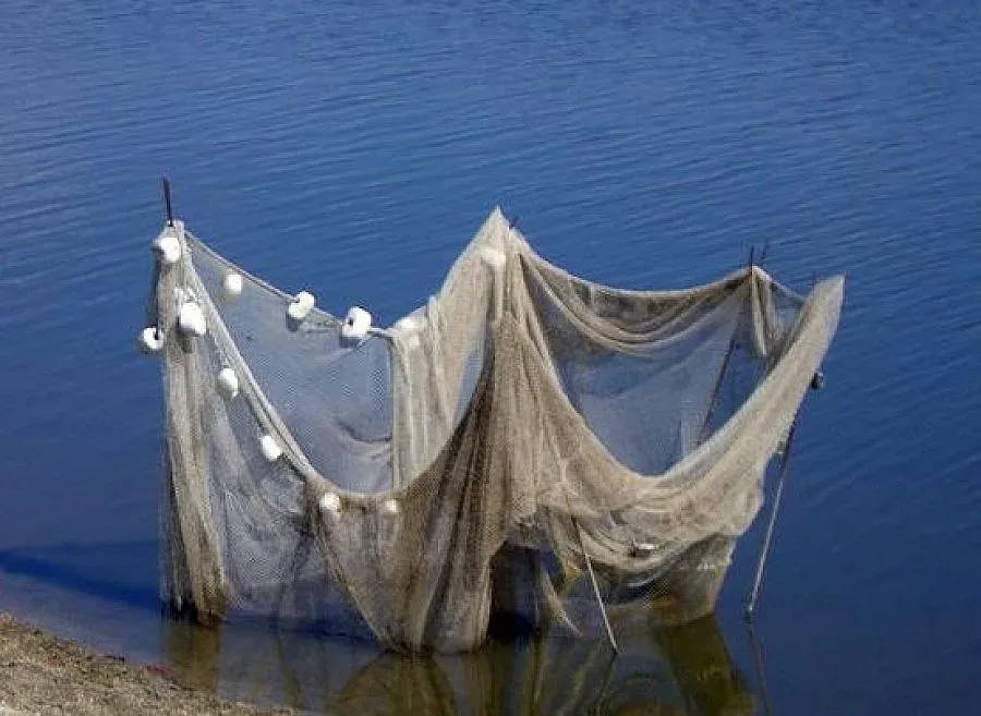 Сгащиха бракониери в нощна акция