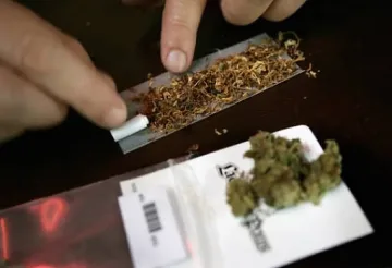 Арест за грам канабис