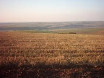 Продаваме ниви на чужденци след 2 г.