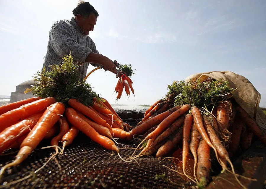 Кризата в Гърция изяде главата на посредниците