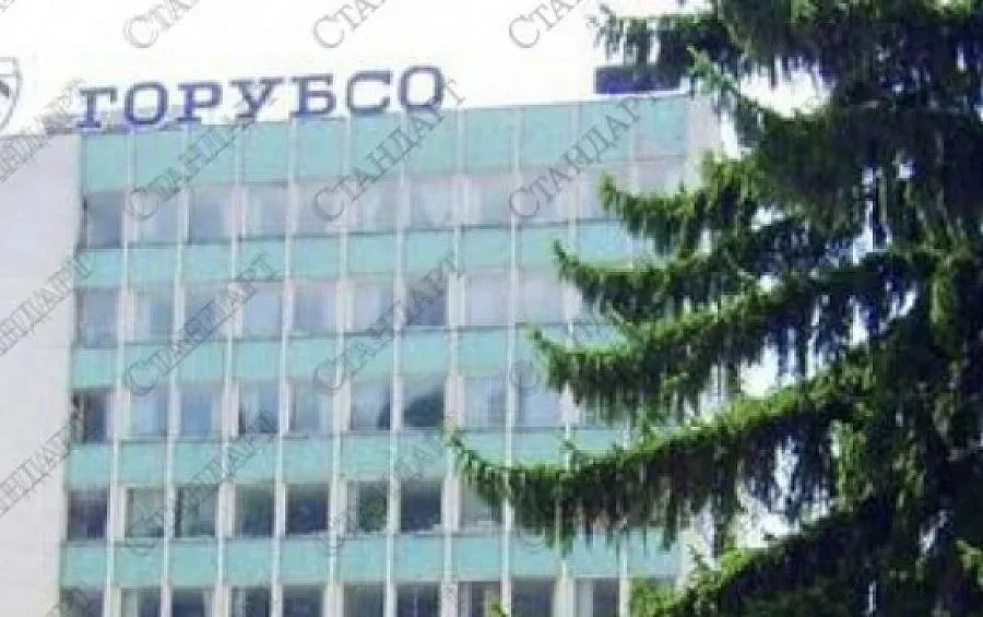 Миньорите в Мадан: Ще работим здраво за новия шеф