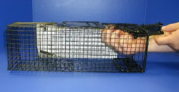 Трайчо отмилял на Бойко, завещал капани 