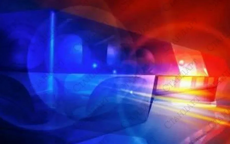 Кучката и Рамбо обирали свищовлии