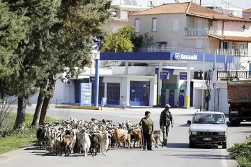 Гърция фалира до края на годината