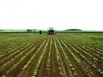 Фермери ще вземат милиони за зелени решения