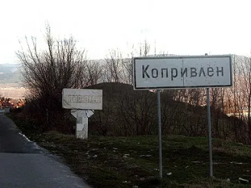 Бивш митничар ще командва Копривлен