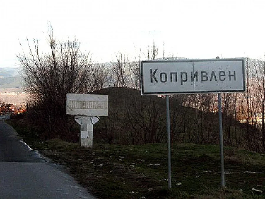 Бивш митничар ще командва Копривлен