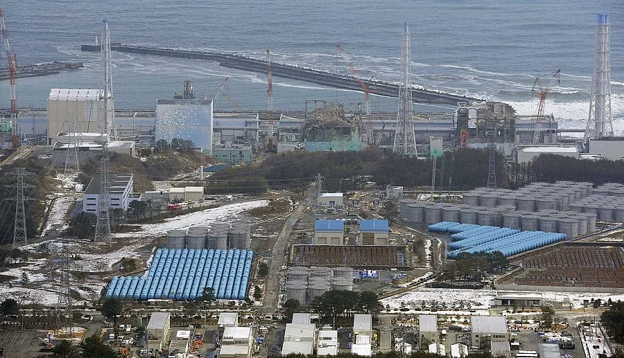 Радиацията от "Фукушима-1" заразила 30 см от почвата