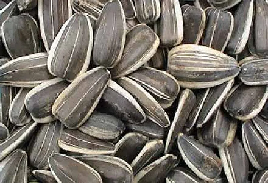 100 грама и лошото настроение изчезва. Коя е ядката?