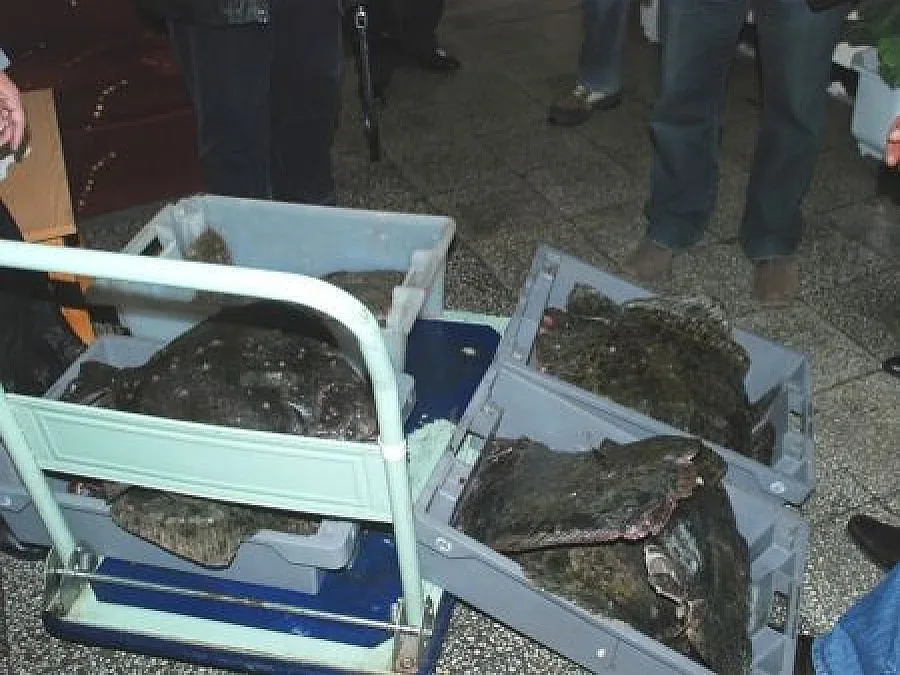 Иззеха 200 кг калкан с неясен произход край Шабла