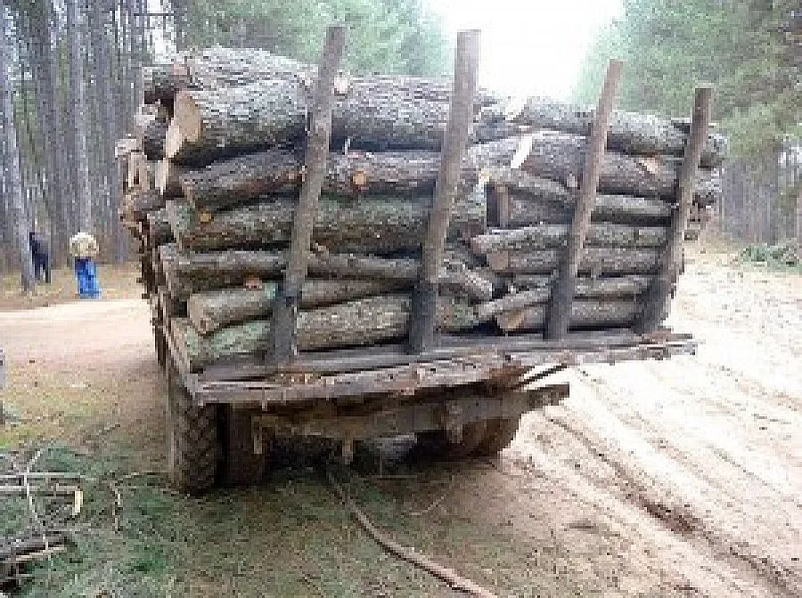 Искат GPS за камионите с дърва