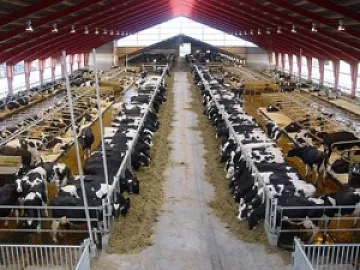 Отпускат 25% повече пари на животновъди