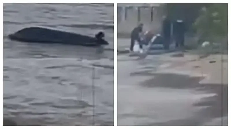 Започва разследване за трагедията на Елените