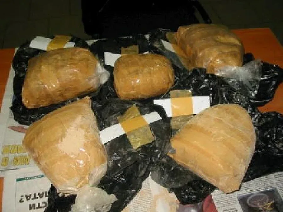 Разбиха банда за накротрафик през Одрин