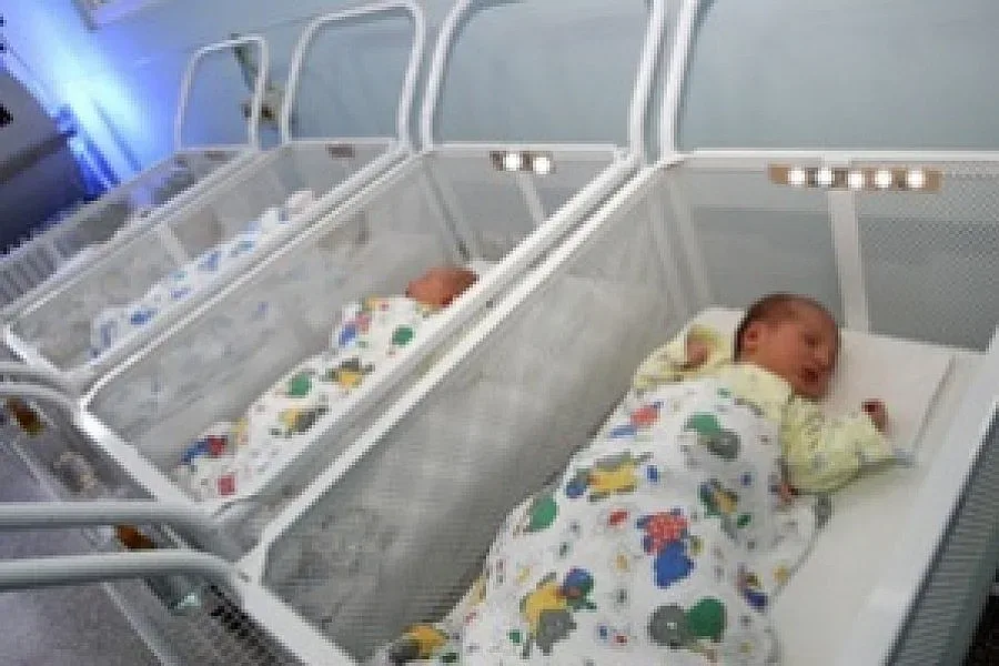 Тризнаци се родиха в Монтана