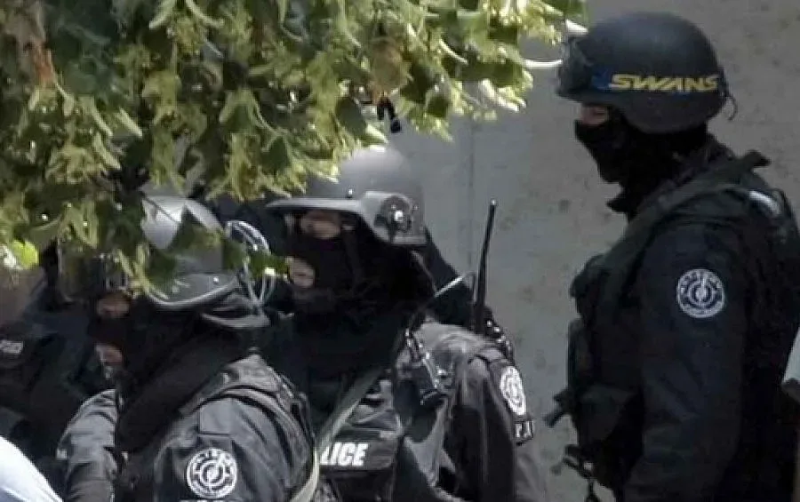 Закопчаха дедесари, източили 1,4 млн. лева