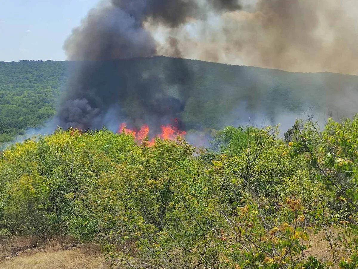 България гори! Молят се вятърът да спре