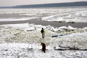 Ледоходът по Дунав потроши десетки кораби в Сърбия