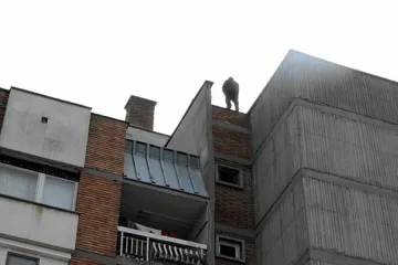 Психично болен разби покрива на блок