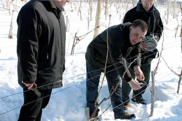 Виното бие ракията на родната трапеза