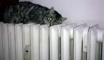 Газът вдига цената на парното
