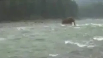Заснеха жив мамут в Сибир (ВИДЕО)
