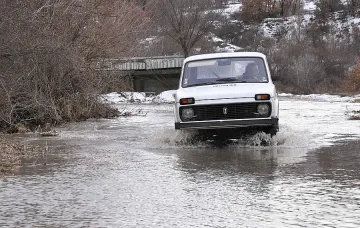 Щерка прати водолази да търсят родителите й