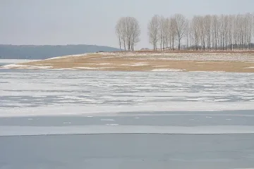 Мутри и певци гледат шарани в частни язовири