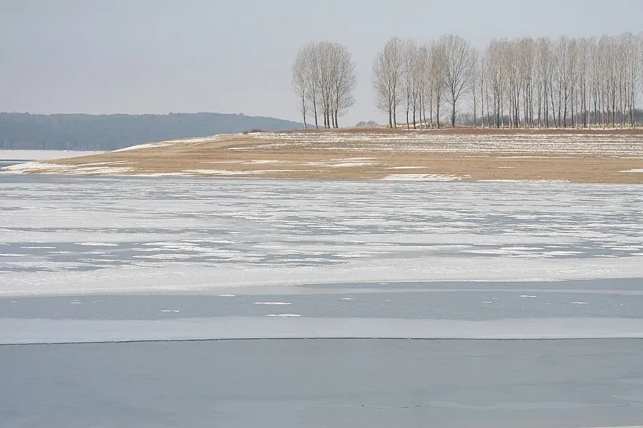 Мутри и певци гледат шарани в частни язовири