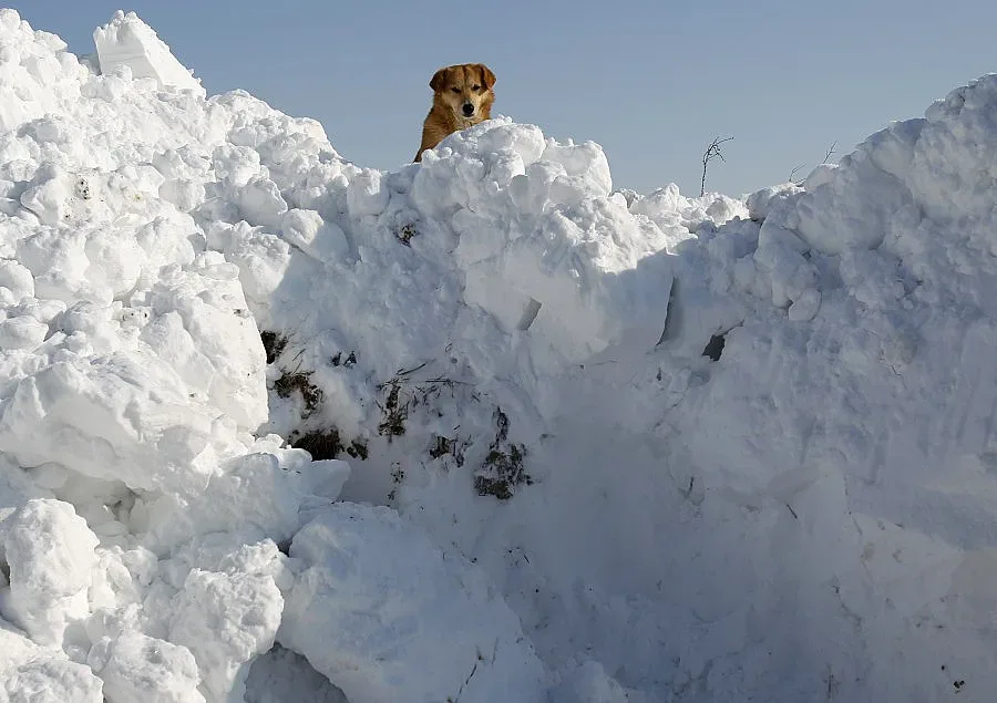 Леден похлупак над Европа, 110 загинаха