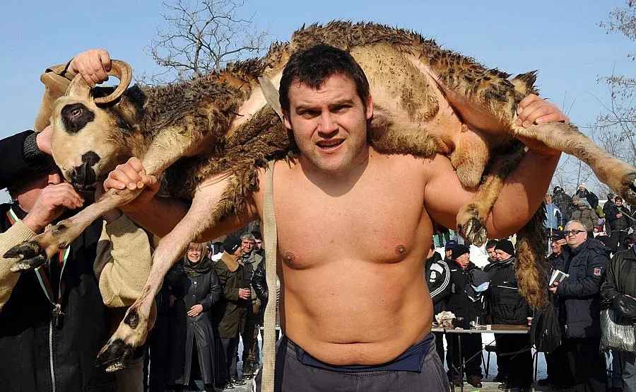 Борец спечели коч и мавруд