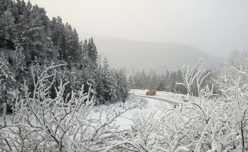 Ледената вълна заля Италия и Швейцария