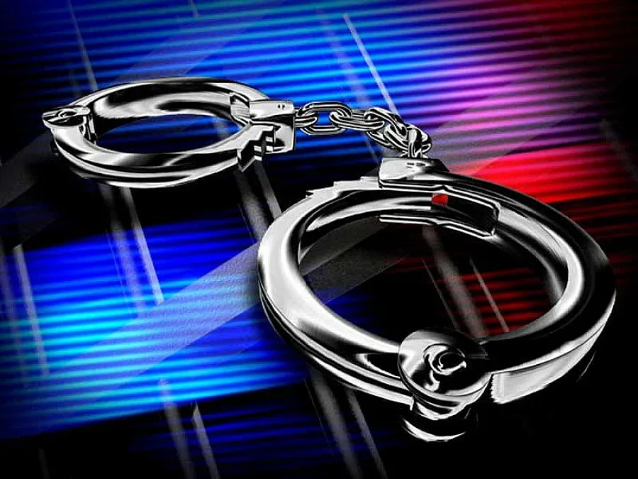 Спипаха Големия Ягуар, малкият се спотайва