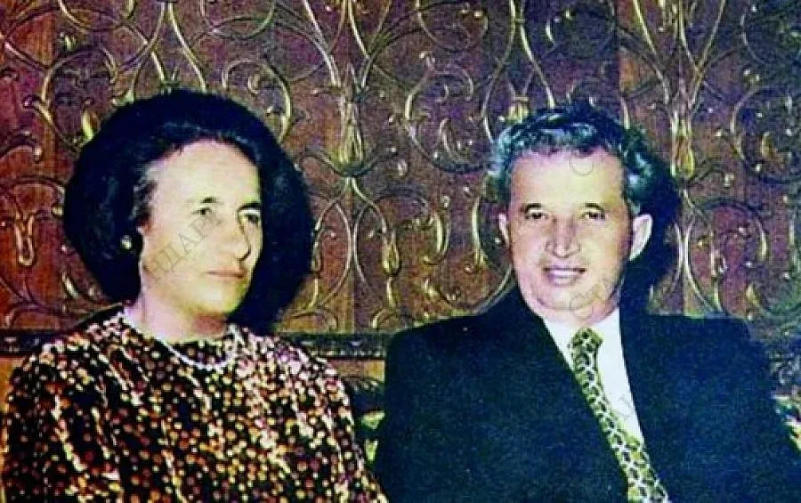 Продават килим от тигрова кожа на Чаушеску