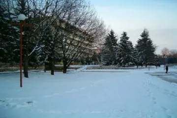 Клетници гаснат в нелегален старчески дом