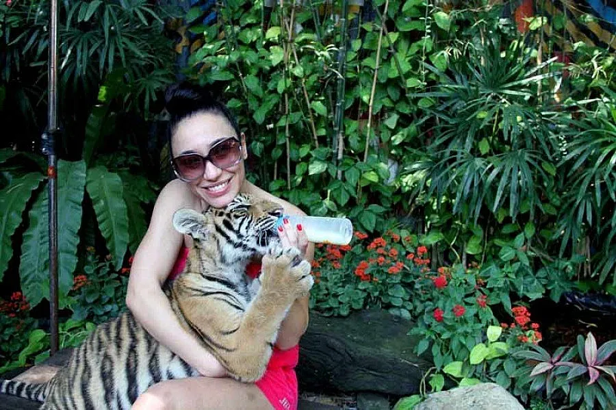 Мария Илиева храни тигри