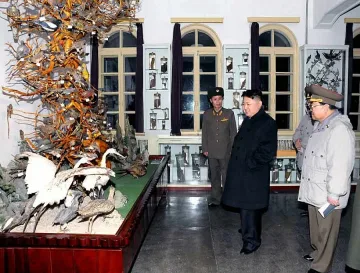 Пхенян: GSM разговорът е военно престъпление