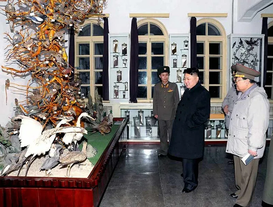 Пхенян: GSM разговорът е военно престъпление