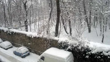 56 см сняг затрупа Драгоман, софиянци газят 37 см 