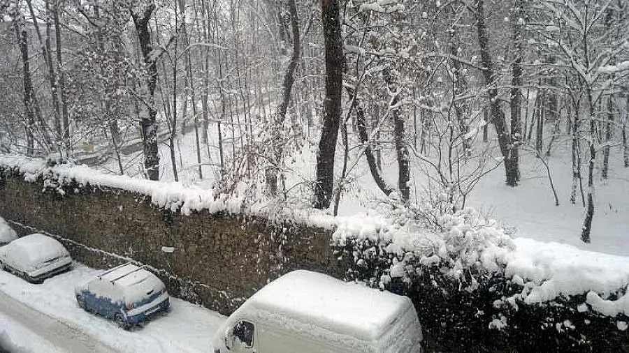 56 см сняг затрупа Драгоман, софиянци газят 37 см 