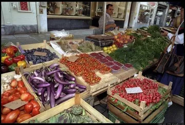 Правят Булгарплод в Пазарджик