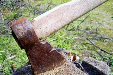 Млад любовник нападна с брадва съперник