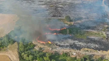 Нов пожар избухна в Пирин! Местните са в ужас