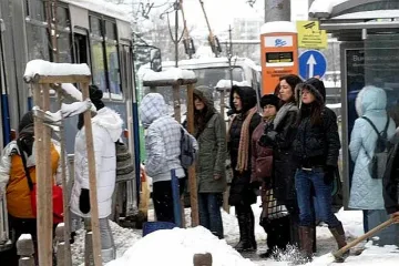 Опразват цели автобуси с гратисчии