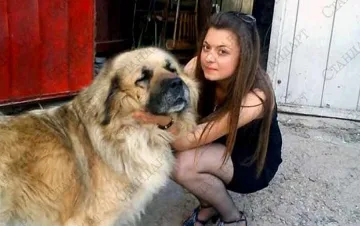 Счупили гръбнака на Мира, преди да я удушат